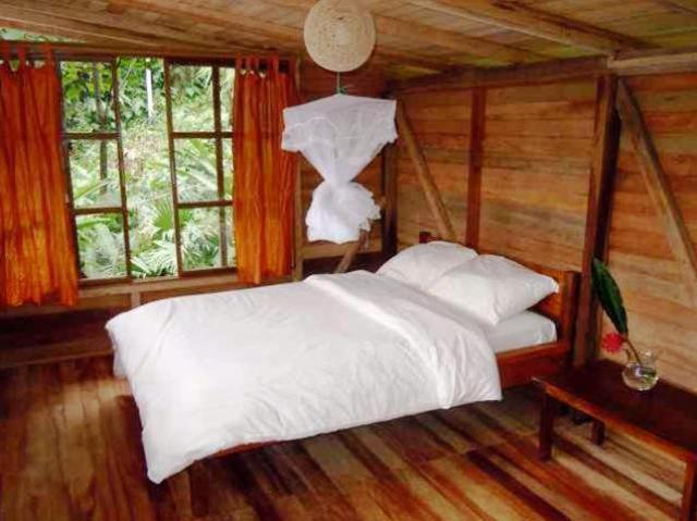 Huella Verde Rainforest Lodge Canelos Oda fotoğraf