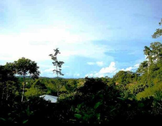 Huella Verde Rainforest Lodge Canelos Dış mekan fotoğraf