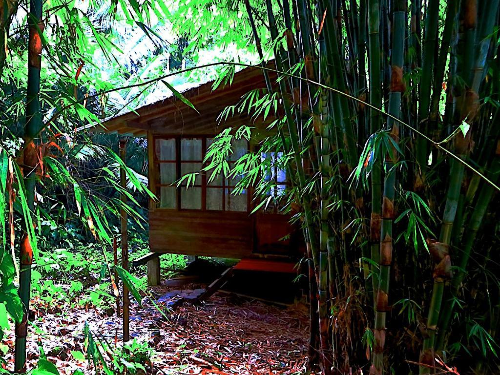 Huella Verde Rainforest Lodge Canelos Oda fotoğraf