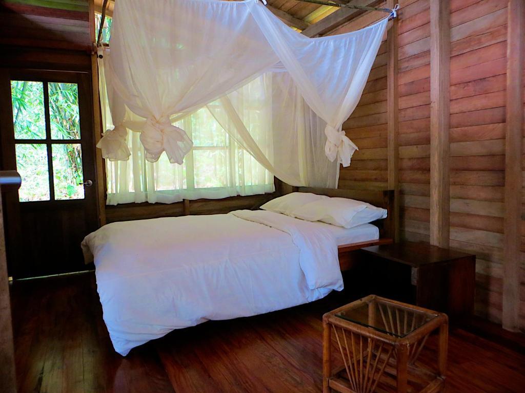 Huella Verde Rainforest Lodge Canelos Oda fotoğraf
