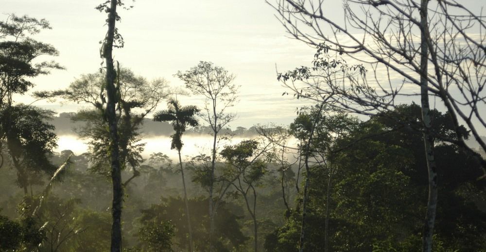 Huella Verde Rainforest Lodge Canelos Dış mekan fotoğraf