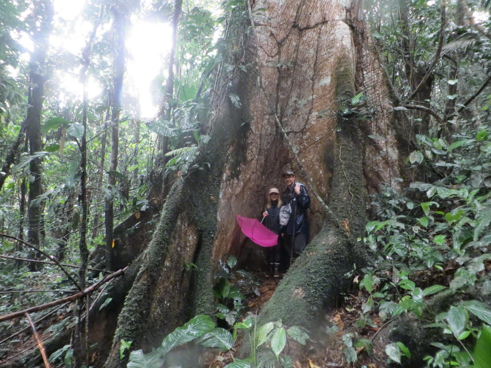 Huella Verde Rainforest Lodge Canelos Dış mekan fotoğraf