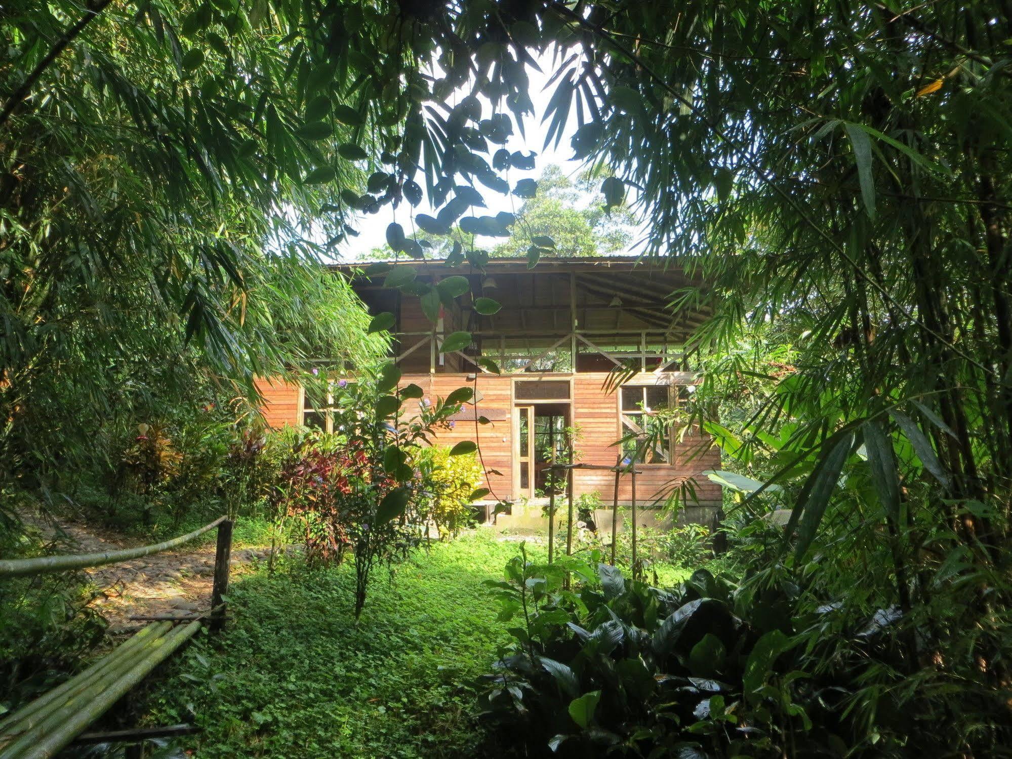 Huella Verde Rainforest Lodge Canelos Dış mekan fotoğraf