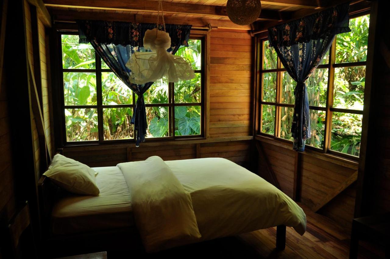 Huella Verde Rainforest Lodge Canelos Dış mekan fotoğraf